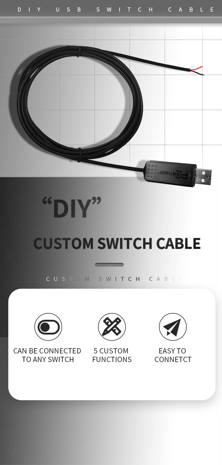 Definition of USB switch